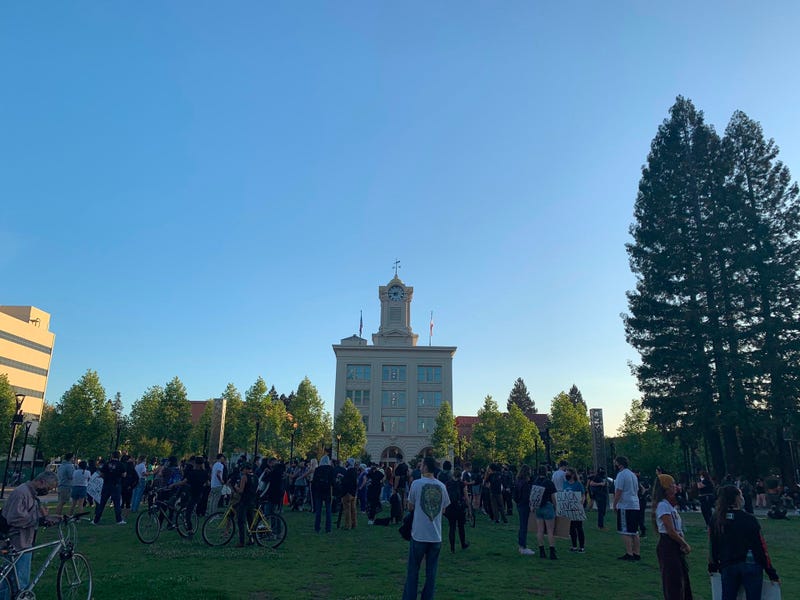 Protests in Santa Rosa, June 1, 2020