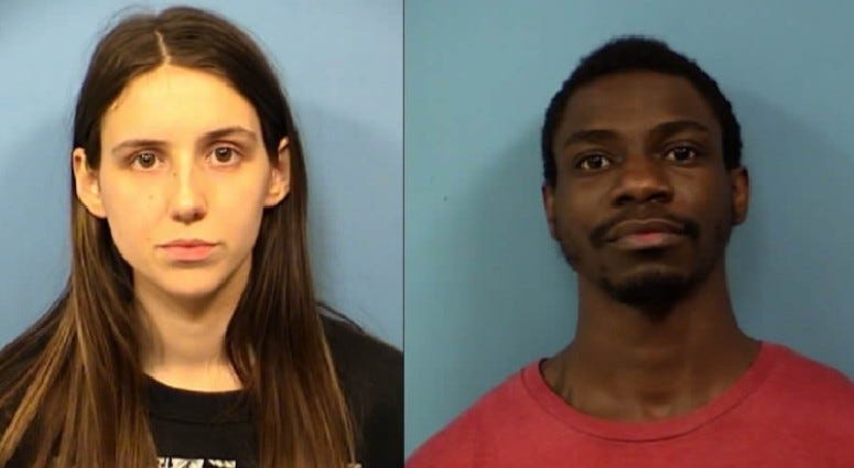 Hoffman Estates man sentenced to three years in prison for starving dogs to death