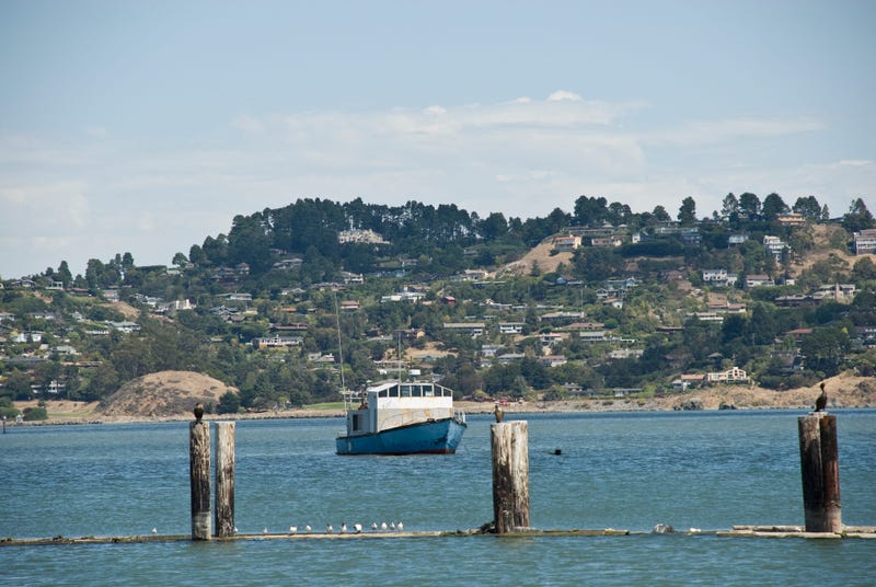 Sausalito Bay facing Tiburons shore with an "anchor out" boat in the water.