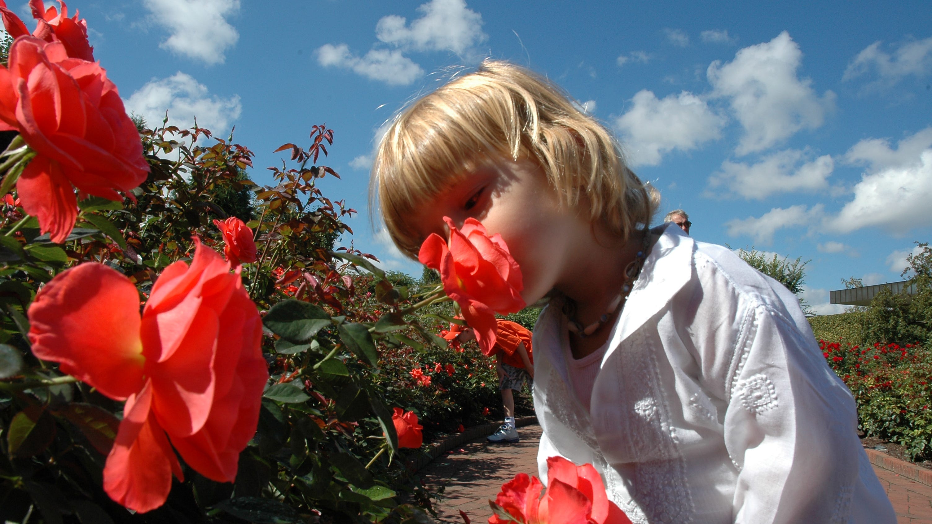 Why it's important flowers smell good