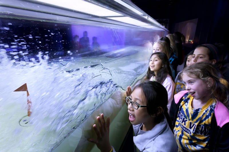 Science Storms at The Museum of Science and Industry