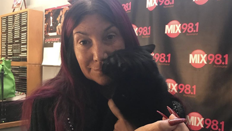 pet of the day