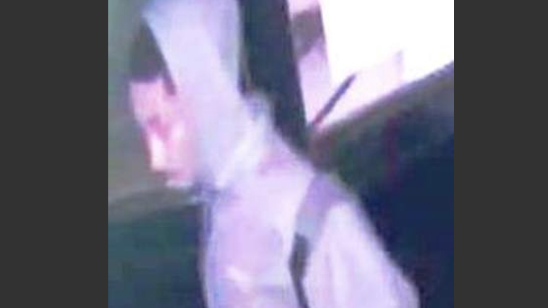 VIDEO: Teen girl fights off man who groped her in Bronx building: NYPD