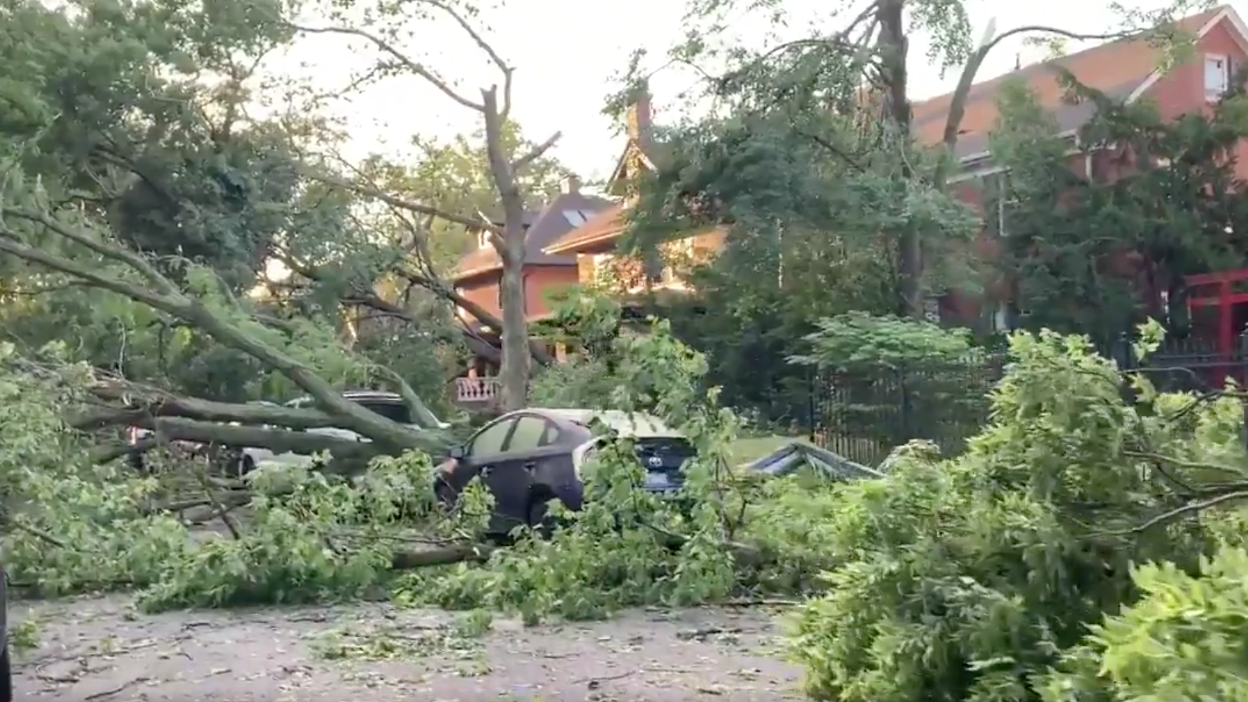 National Weather Service Confirms Tornado Touches Down In Rogers Park; Community Works To Cleanup Damage