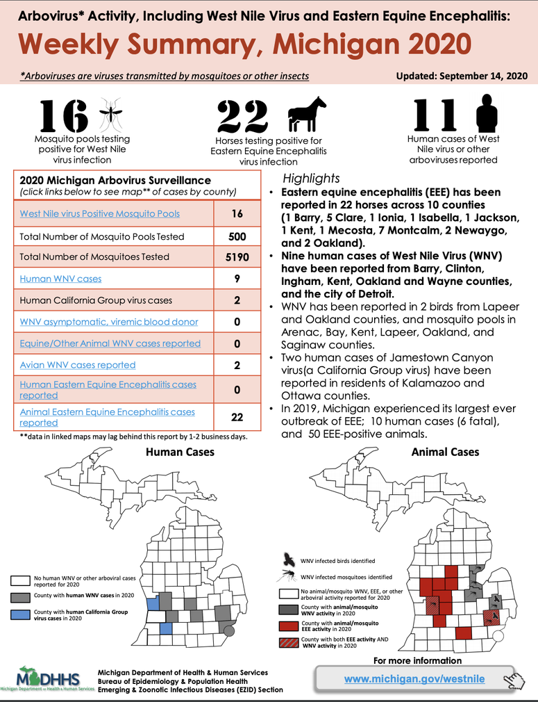 Michigan Department of Health and Human Services
