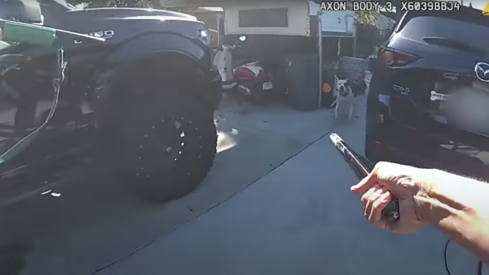 VIDEO: LAPD release body cam footage of non-lethal shooting of family dog