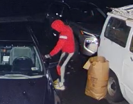 Delaware County car break-ins