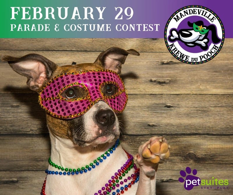 krewe du pooch