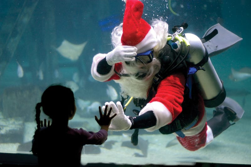 Scuba Santa at Adventure Aquarium