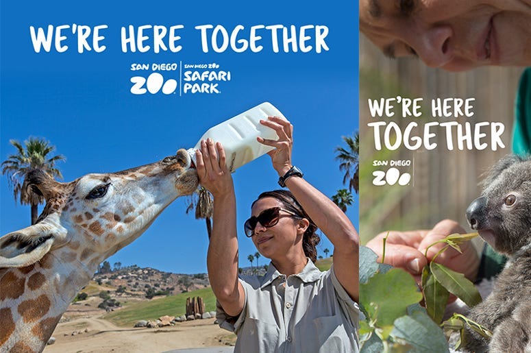 San Diego Zoo