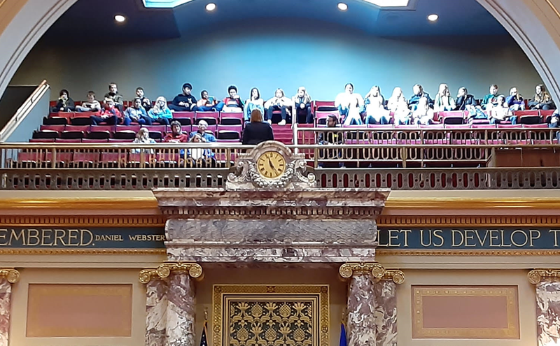 State senate