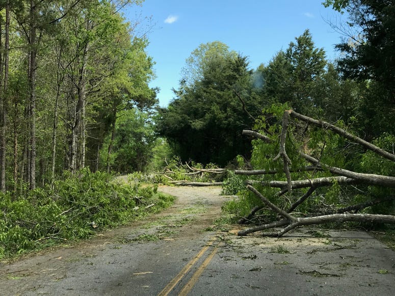 Steve Nix Rd in Seneca Blocked by Trees
