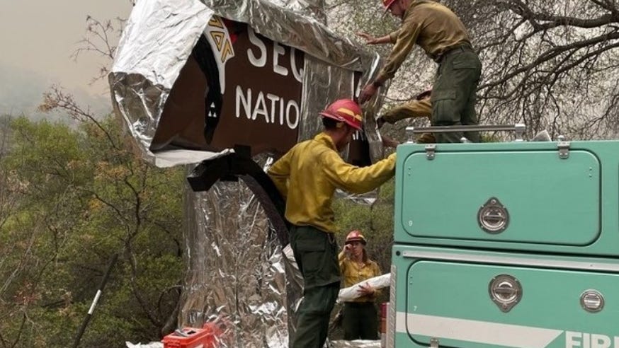 Sequoia National Park braces for onslaught of KNP Complex Fire