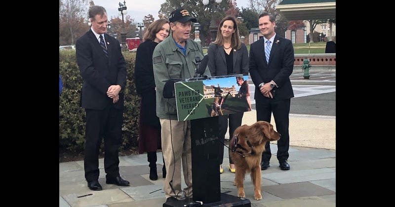 ServiceDog