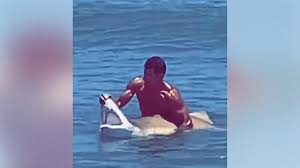 Man catches shark with bare hands 