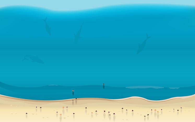 Sharks near beach goers