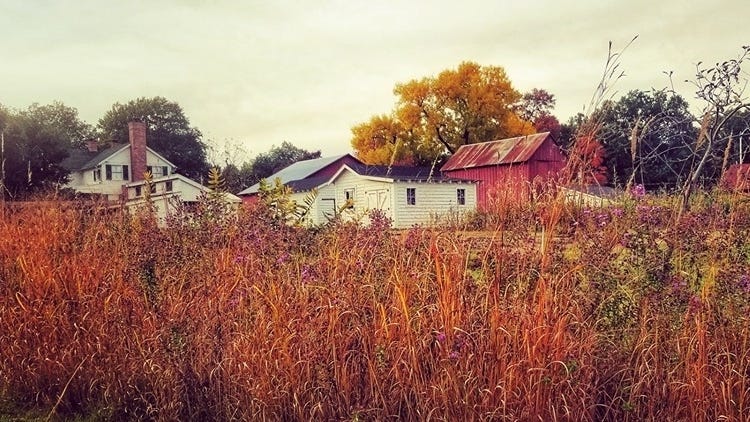 A view of Shawnee Town in the Fall