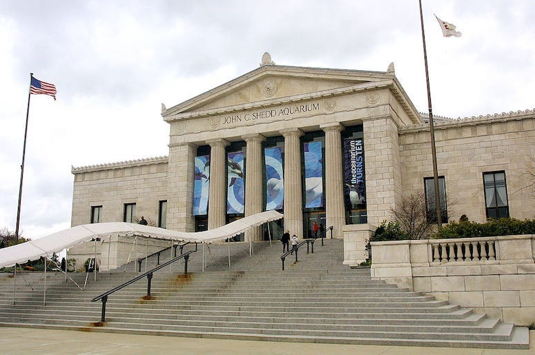 The entrance to the Shedd Aquarium museum in Chicago.