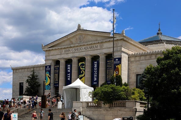 Shedd Aquarium, Chicago, Local, Downtown, Free Admission, Illinois