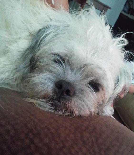 Zoey