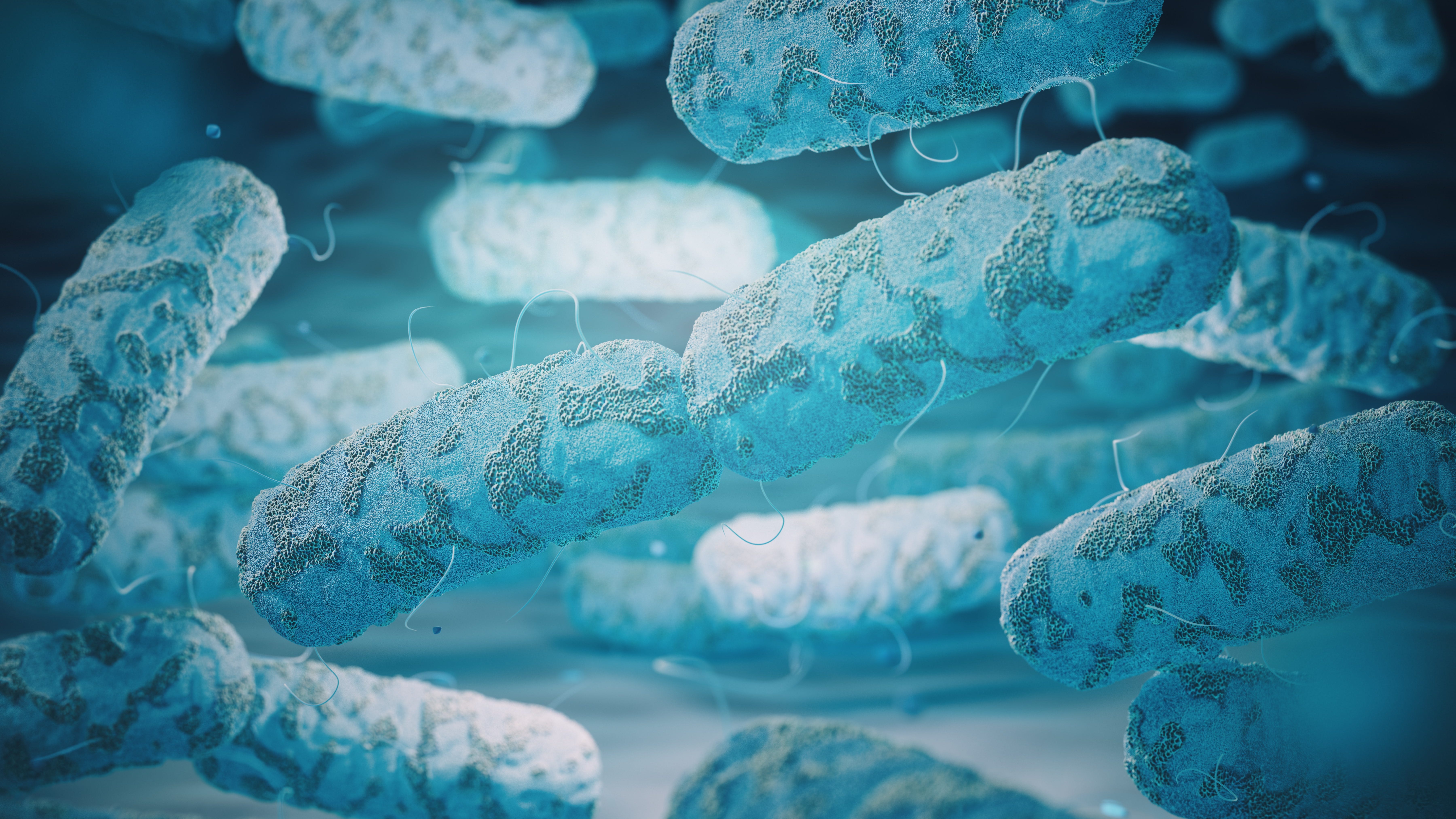 Alert issued about drug-resistant intestinal infections