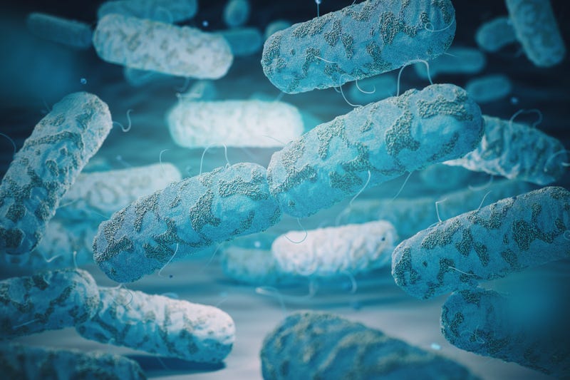bacteria, illustration