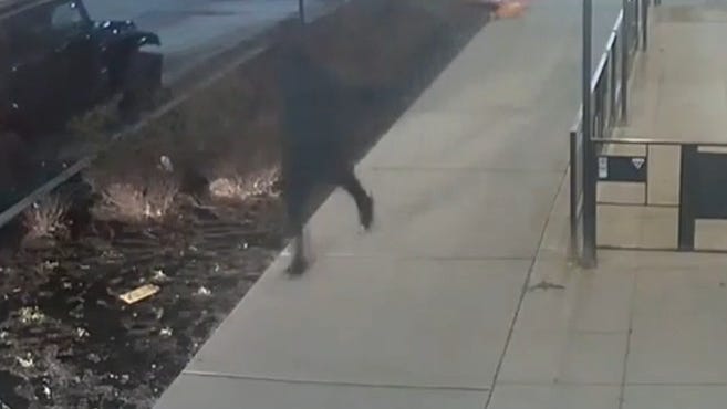Police seek suspect who fled after shooting, killing man outside hall in Midtown Detroit [VIDEO]
