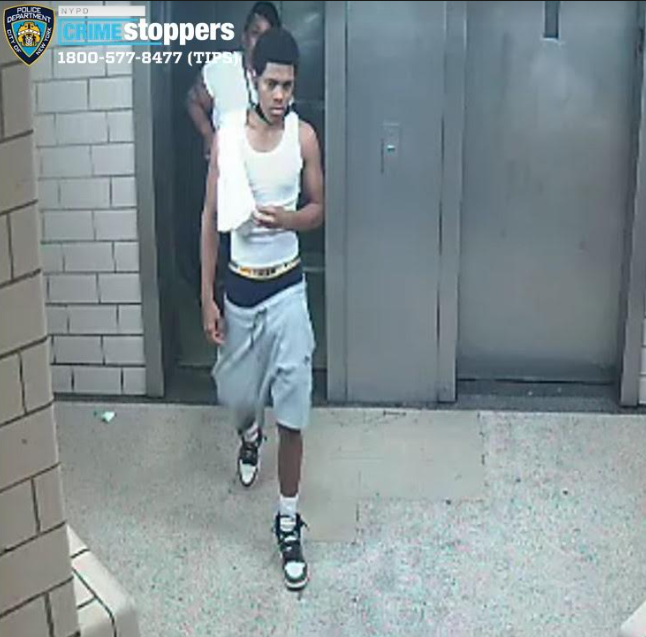 Gunman sought after man, 65, grazed by bullet in front of Bronx building