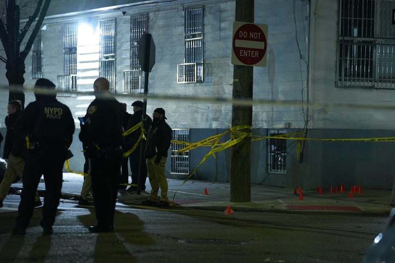 The gunmen fired over 30 times in the direction of a crowd, police said.