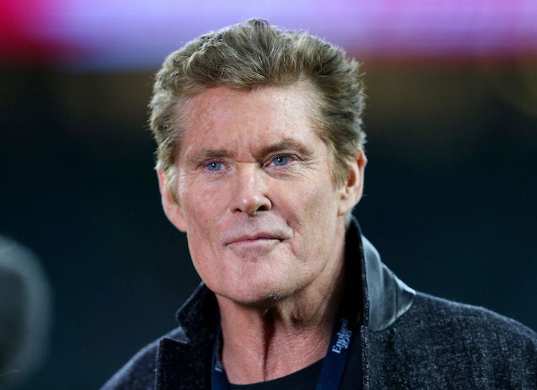David Hasselhoff, Smirk, Smile, Red Carpet, 2017
