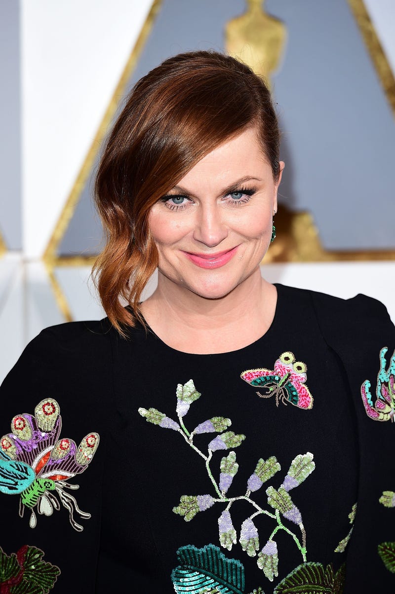 Amy Poehler