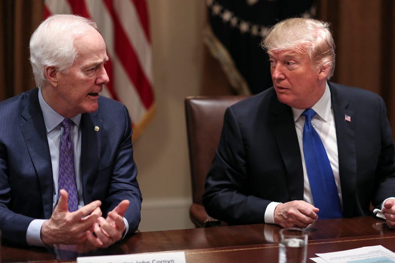 Senator John Cornyn, President Donald Trump