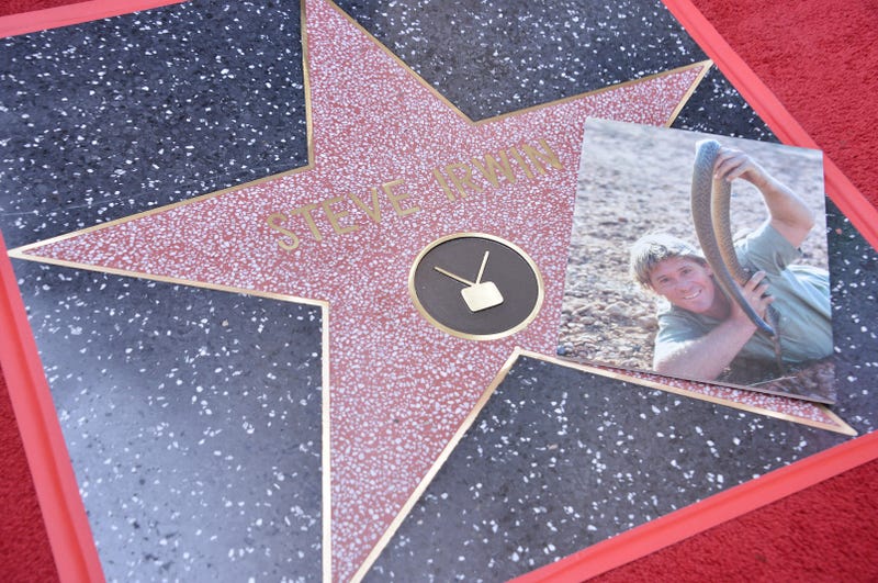 Steve Irwin