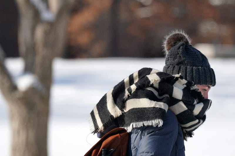 Polar Vortex