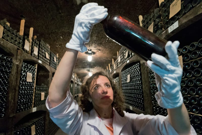 Wine Cellar