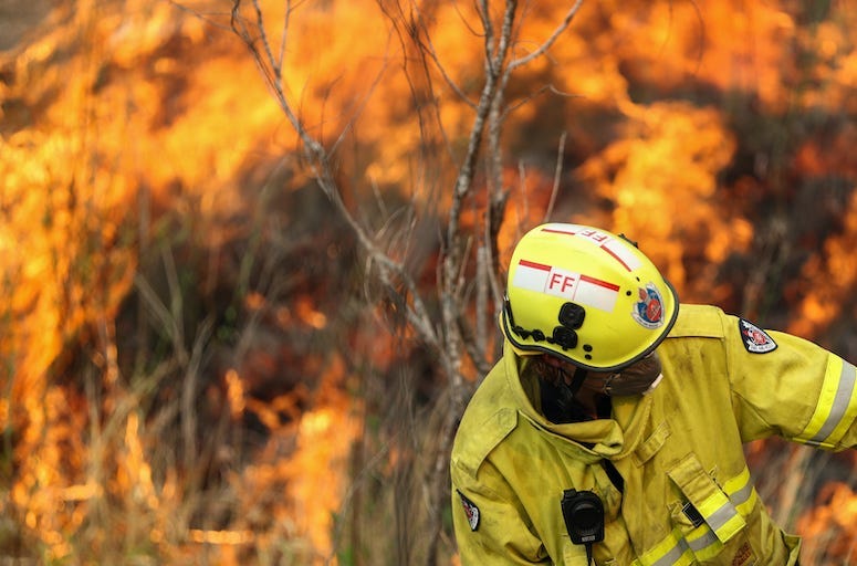 Firefighter, Australia, New South Wales, Bushfire, Trees, Forest, Fire, 2019