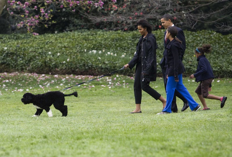 President Barack Obama, First Lady Michelle and daughters Sasha and Malia with their dog, Bo, in 2009