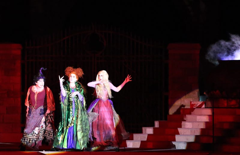 Hocus Pocus