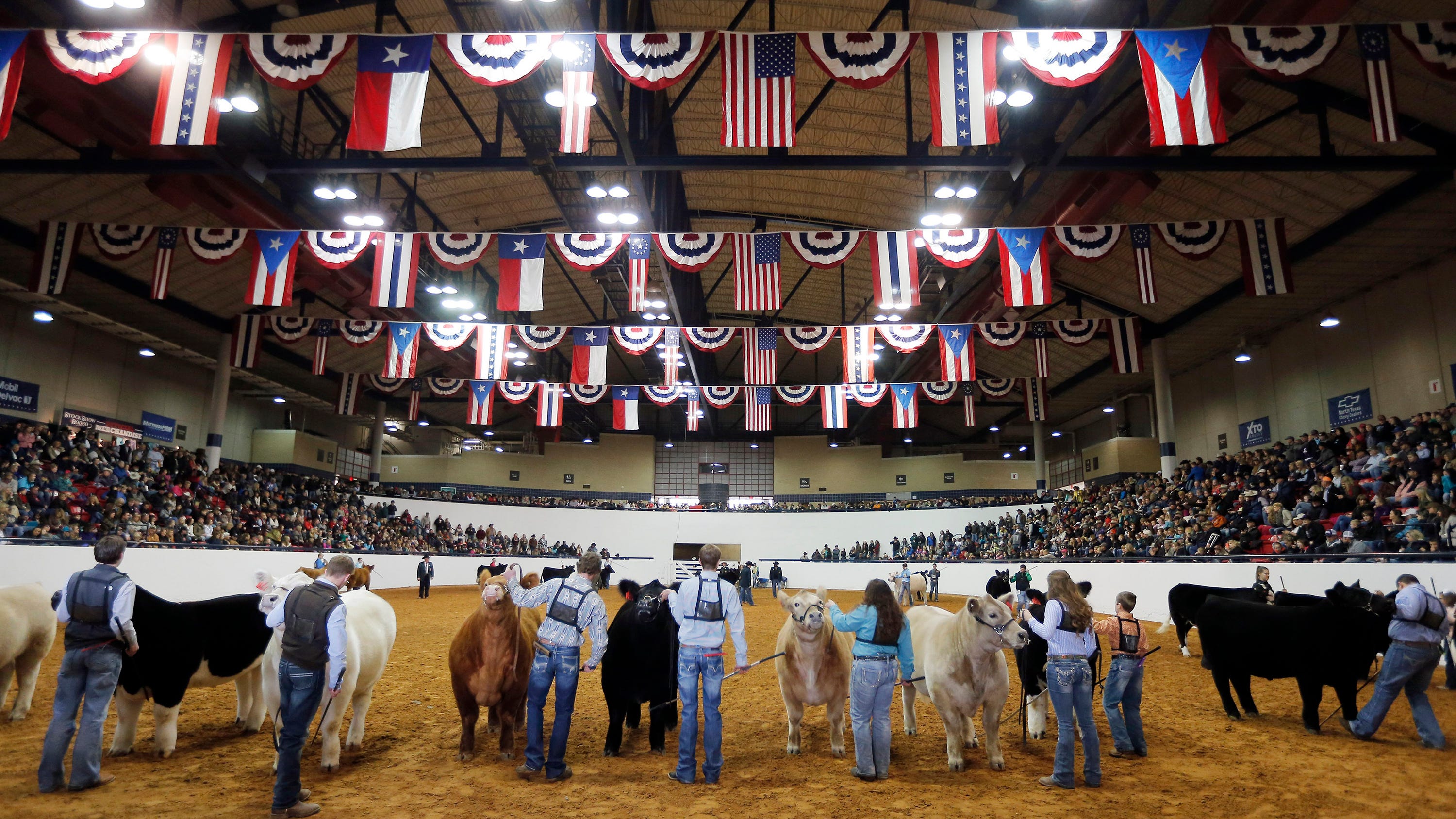 'Snoop Dog' crowned grand champion steer at Fort Worth Stock Show & Rodeo
