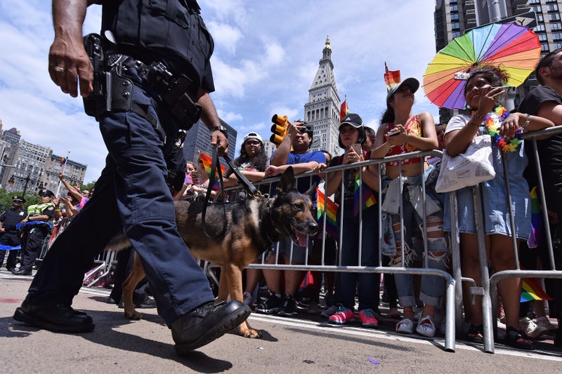 An NYPD canine unit walks along Fifth Avenue past revelers during the 2018 New York City Gay Pride Parade in New York, NY, on June 24, 2018