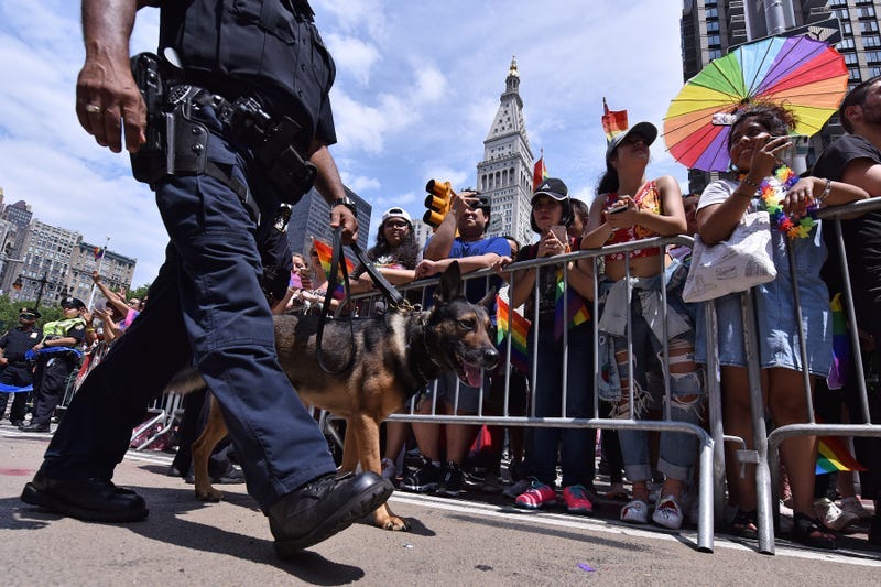 An NYPD canine unit walks along Fifth Avenue past revelers during the 2018 New York City Gay Pride Parade in New York, NY, on June 24, 2018
