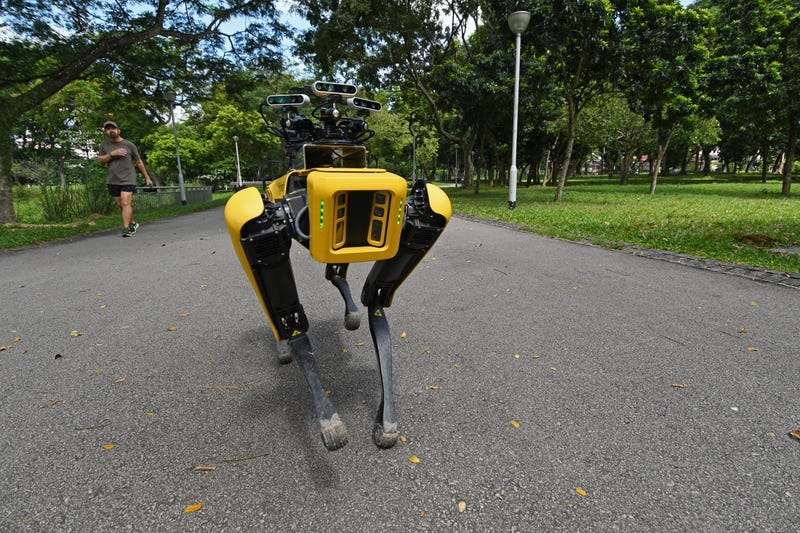 Digidog