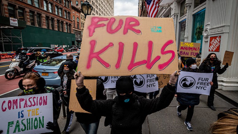 PETA calls for us to stop calling people animals as insults like "snake" or "chicken"