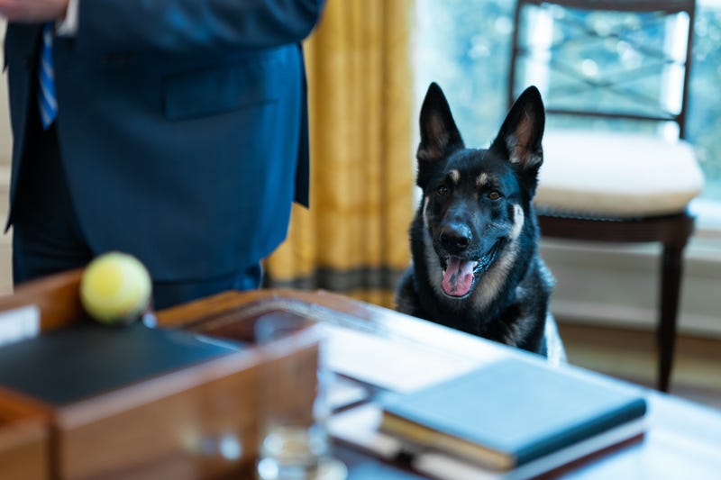 Major Biden