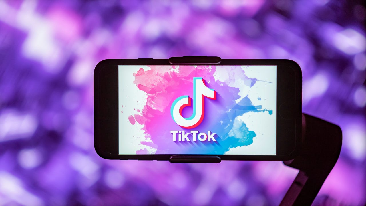 Growing number of states ban TikTok on government devices