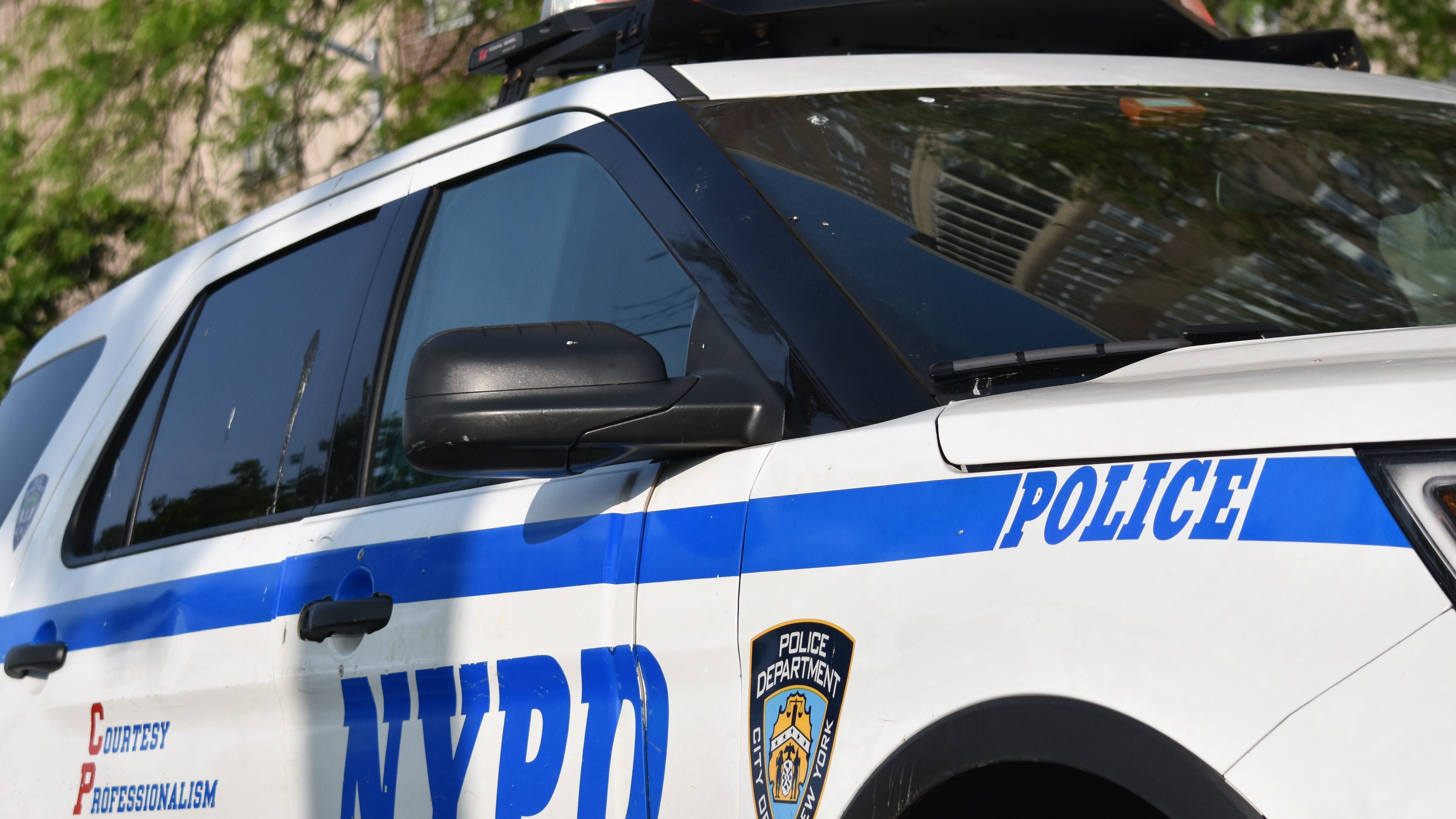 Boy, 16, shot in the back at Harlem park