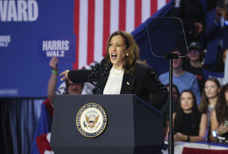 Democratic presidential nominee U.S. Vice President Kamala Harris delivers a speech at a campaign rally in Charlotte, North Carolina, on Sept. 12, 2024. (Photo by Kyodo News/Sipa USA)