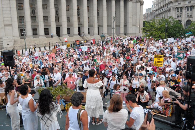 Hundreds descended on Foley Square for the protest Thursday