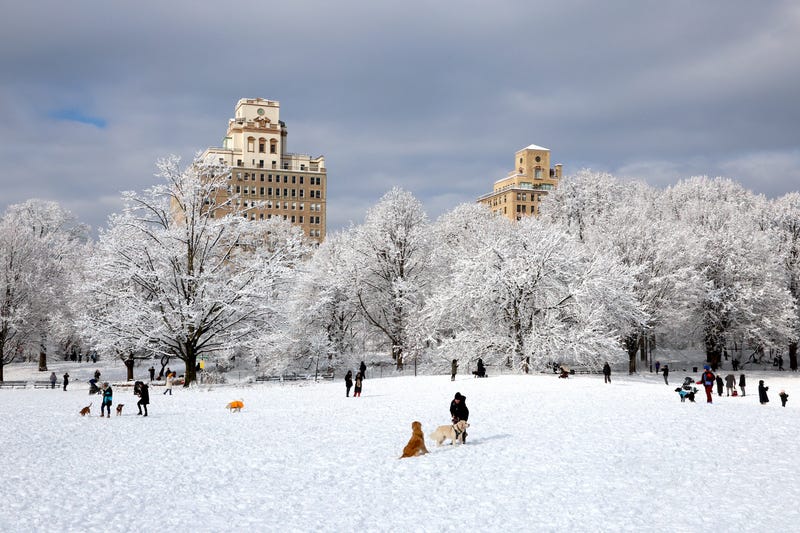 People enjoy the snow in Prospect Park, Brooklyn, on Dec. 14, 2025