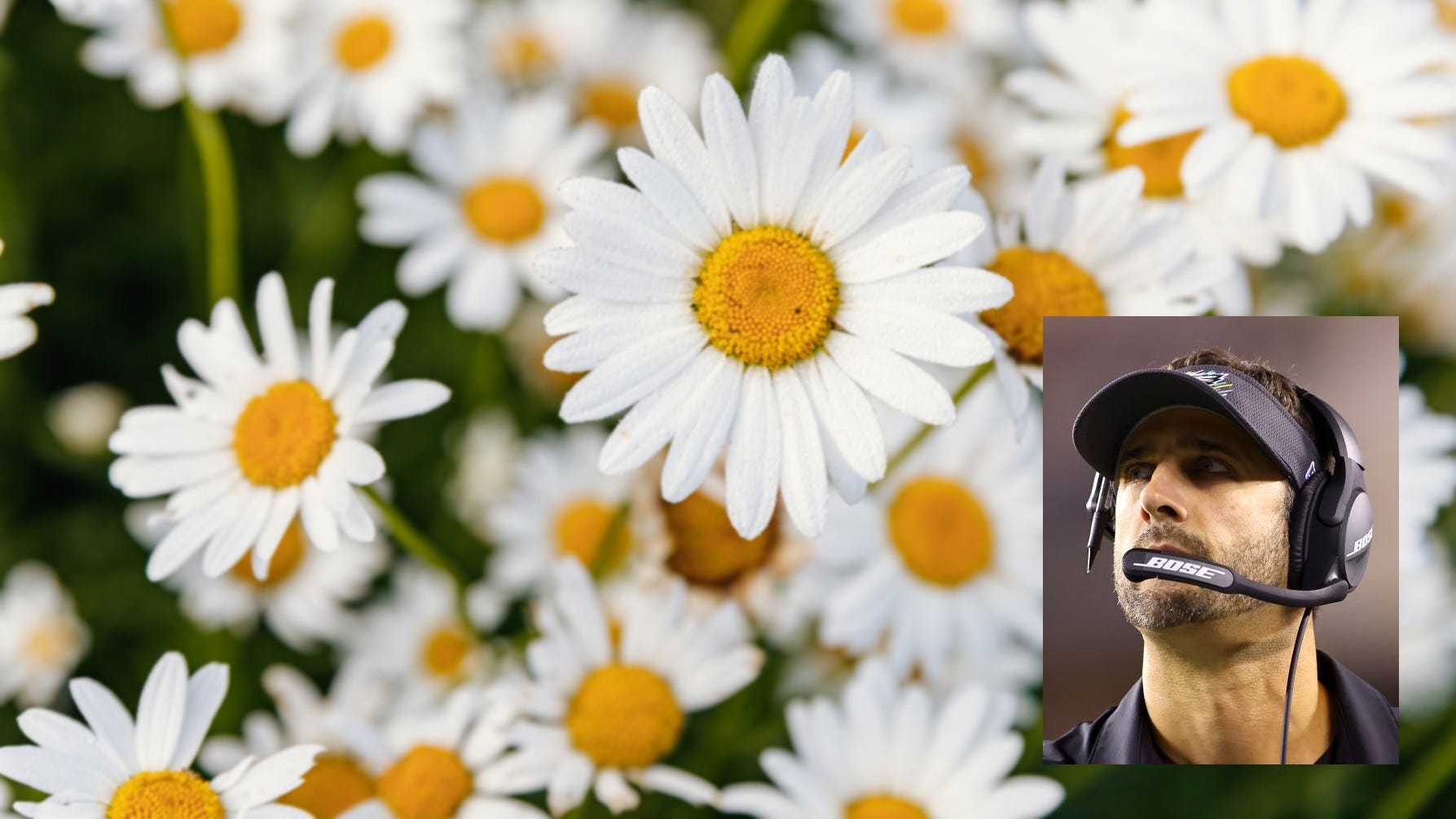 Nick Sirianni tells story of a flower to inspire Eagles